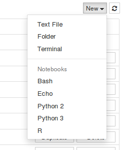 Screenshot of 'new' dropdown showing different kernels